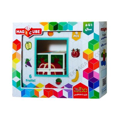 مکعب مگنتی چهار تایی میوه ها (20)