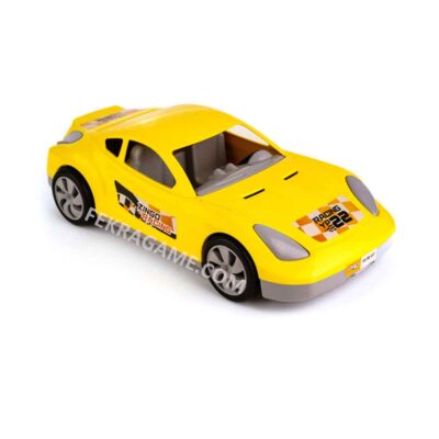 ماشین رالی کوپه زینگو (12)