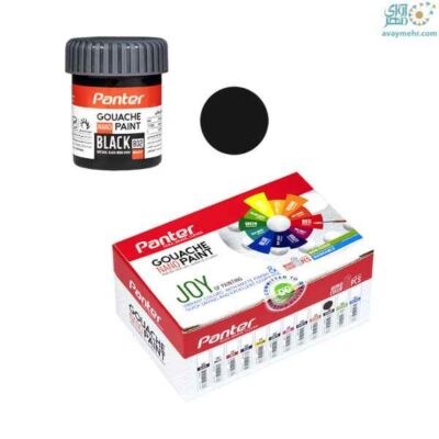 گواش نانو مشکی 802 پنتر (6عدد)