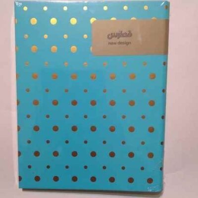 کلاسور 20 حلقه مینیمال فطرس (تک عددی)